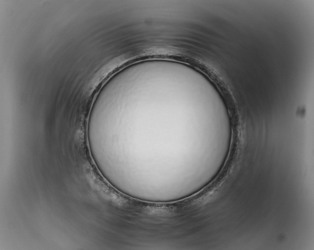 X0000111651025200907311311