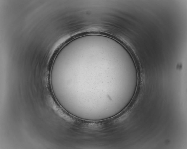 X0000111651029200907311311
