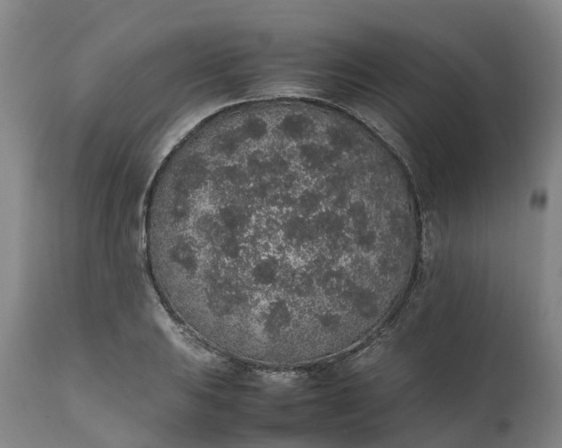 X0000111651031200907311311