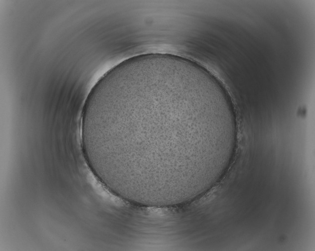 X0000111651032200907311311