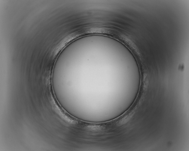 X0000111651033200907311311