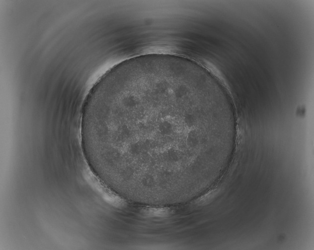 X0000111651035200907311311