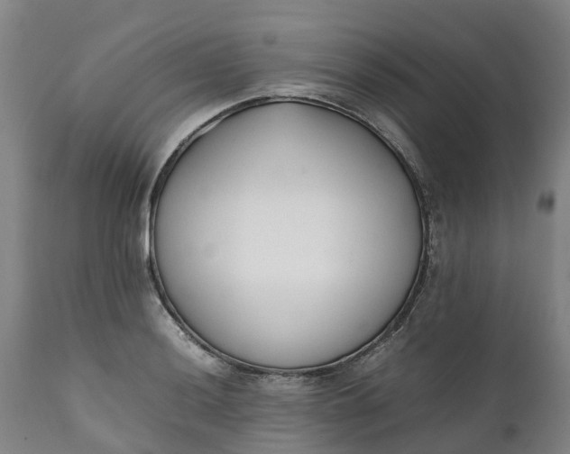 X0000111651036200907311311