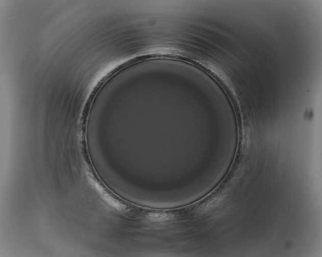 X0000111651037200907311311