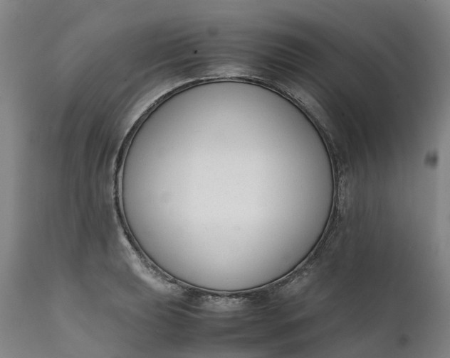 X0000111651039200907311311