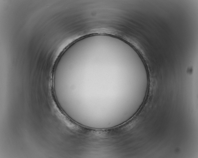 X0000111651040200907311312