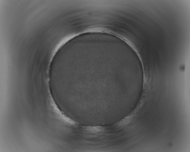 X0000111651045200907311312