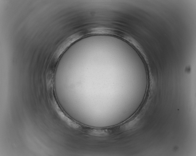 X0000111651049200907311312