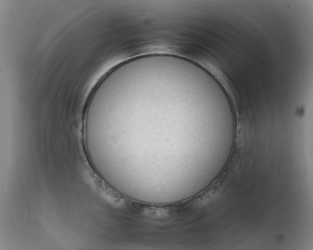 X0000111651051200907311312