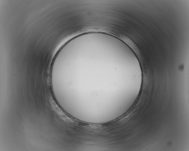 X0000111651052200907311312