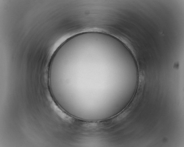 X0000111651054200907311312
