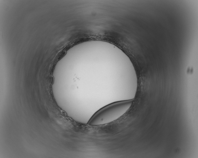 X0000111651057200907311311