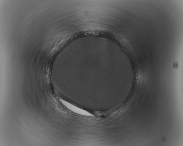 X0000111651060200907311311