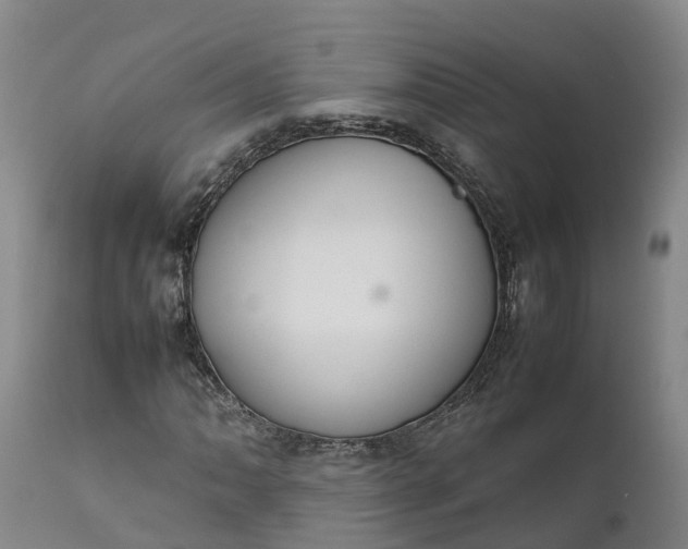 X0000111651062200907311311