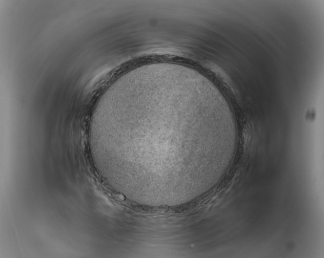 X0000111651064200907311311