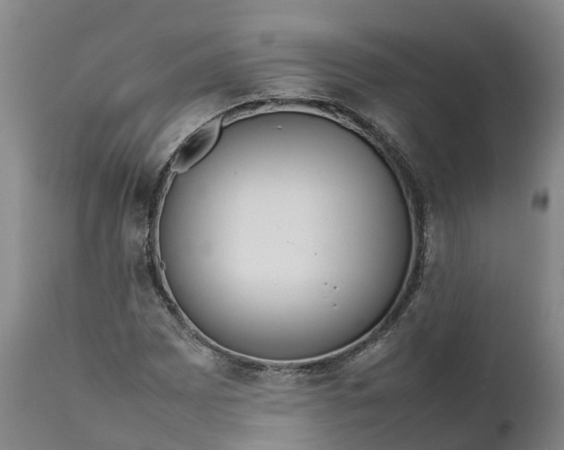 X0000111651065200907311311