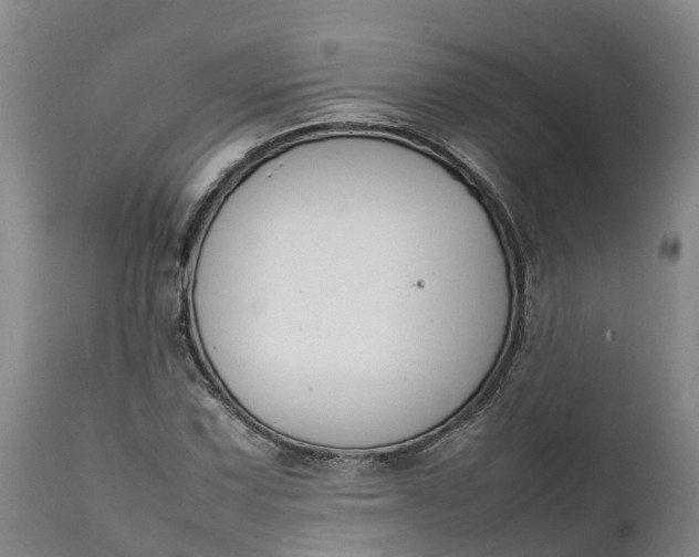 X0000111651067200907311311