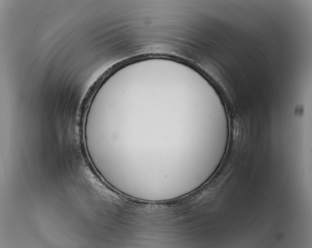 X0000111651068200907311311