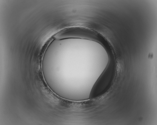 X0000111651069200907311311