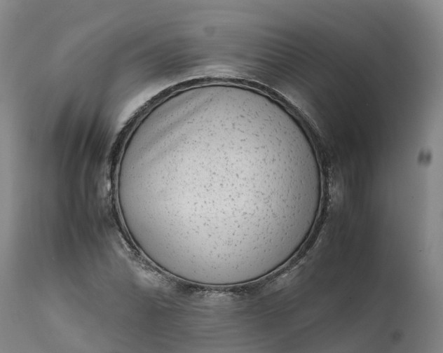 X0000111651070200907311311