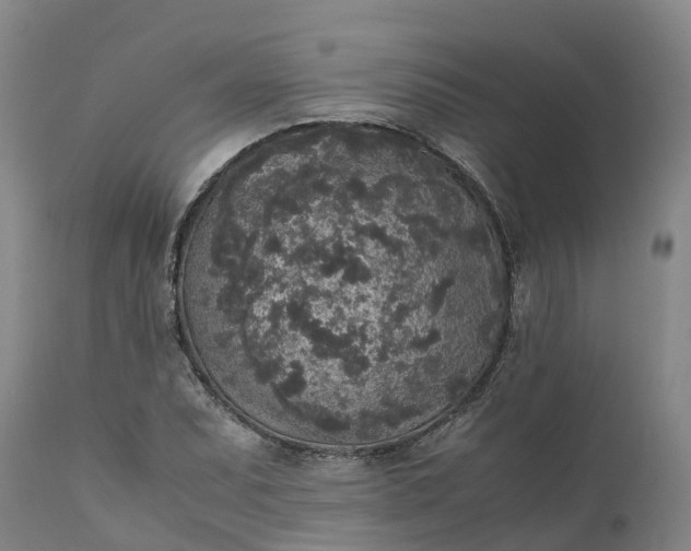 X0000111651071200907311311