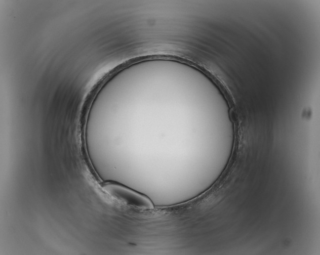 X0000111651072200907311311