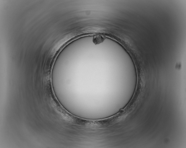 X0000111651073200907311311