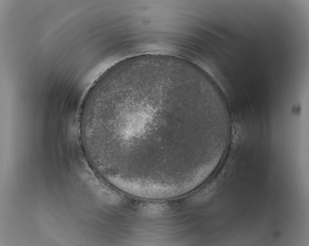 X0000111651074200907311311