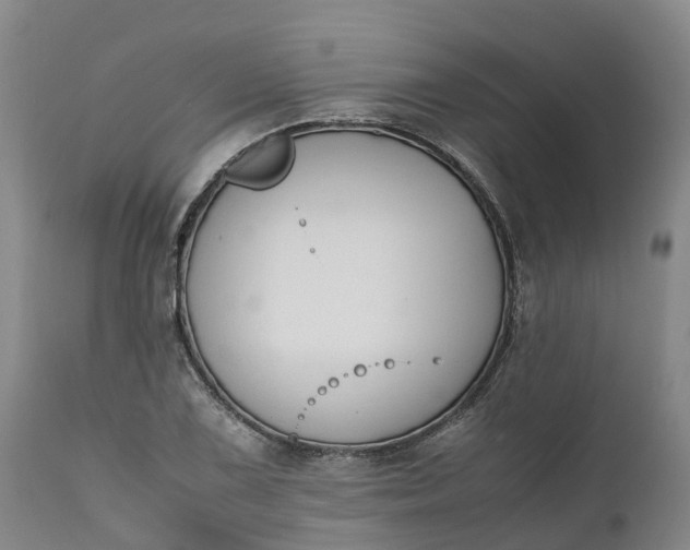 X0000111651075200907311311