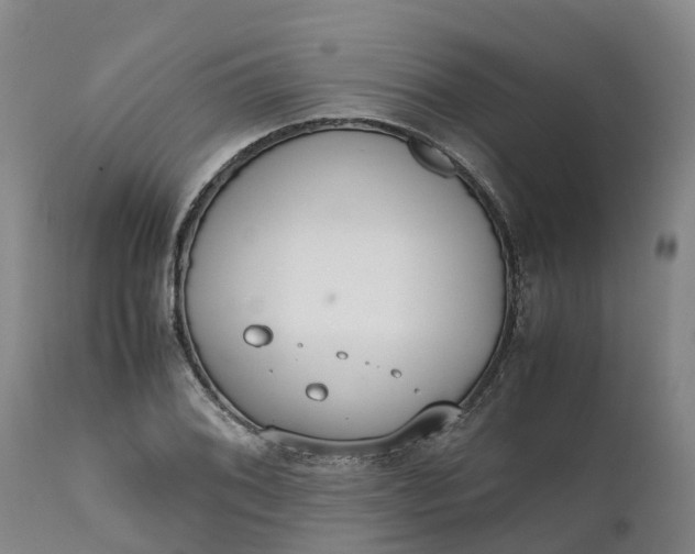 X0000111651076200907311311