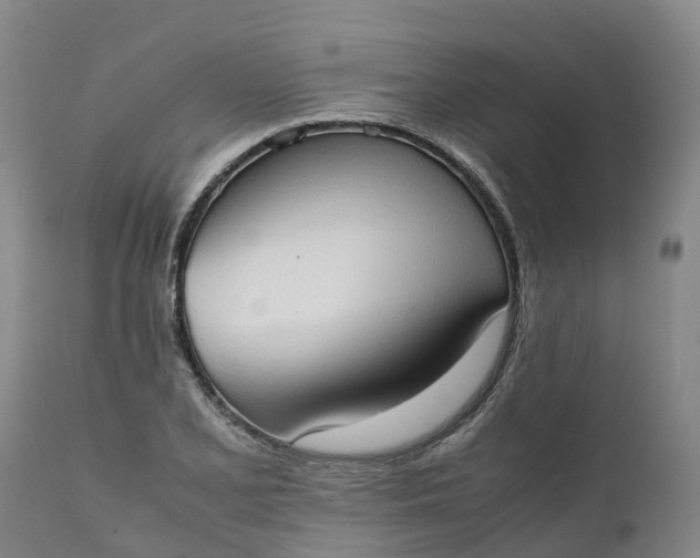 X0000111651077200907311311