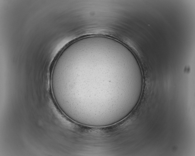 X0000111651079200907311311