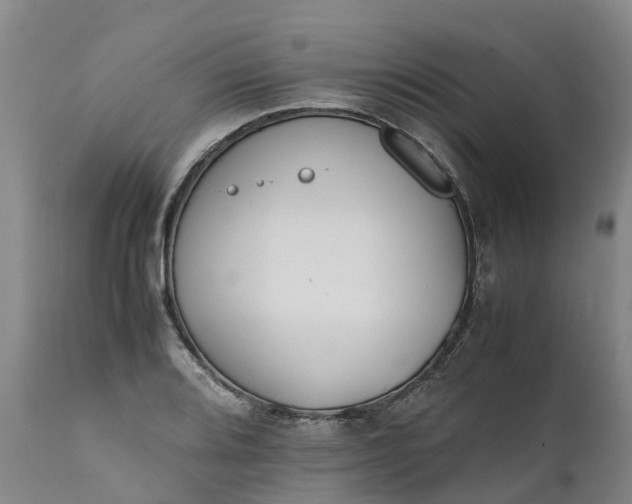X0000111651080200907311311
