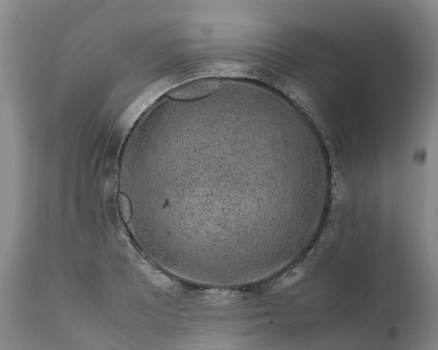 X0000111651081200907311311