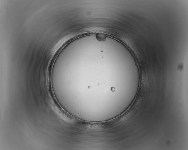 X0000111651082200907311311