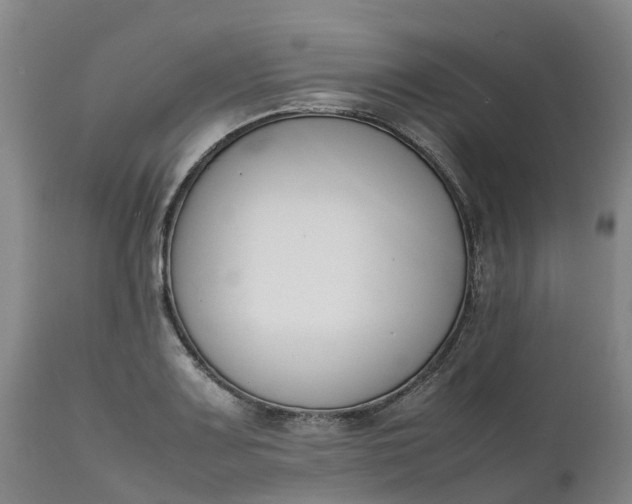 X0000111651083200907311311