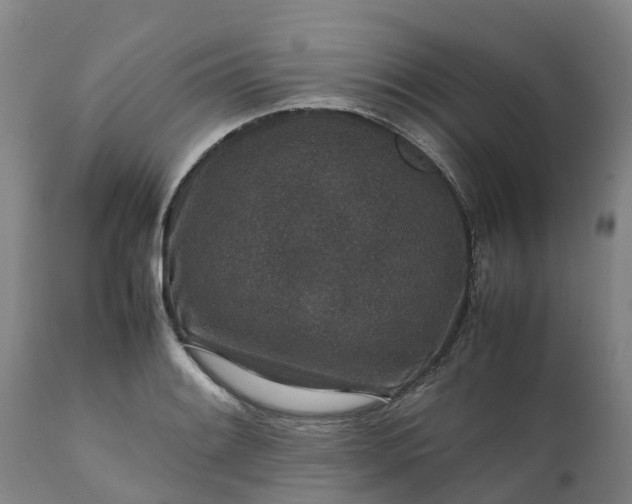 X0000111651084200907311311