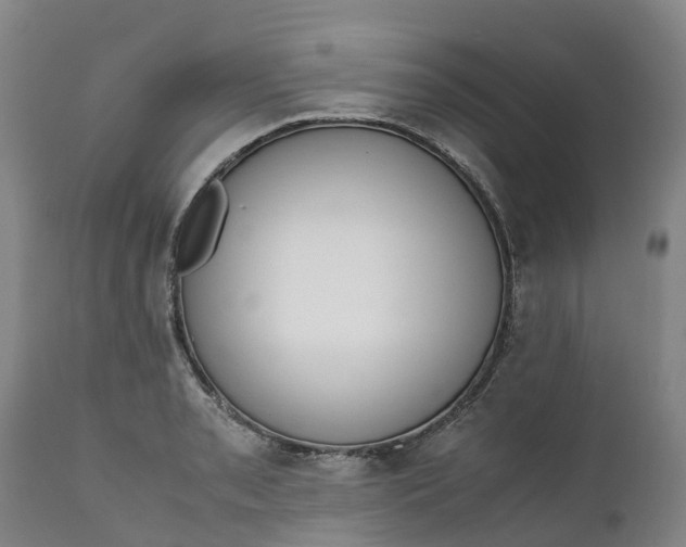 X0000111651085200907311311