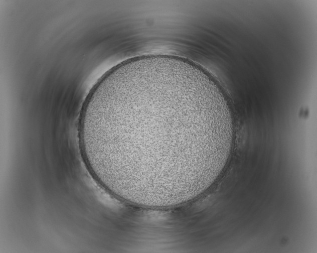 X0000111651086200907311311