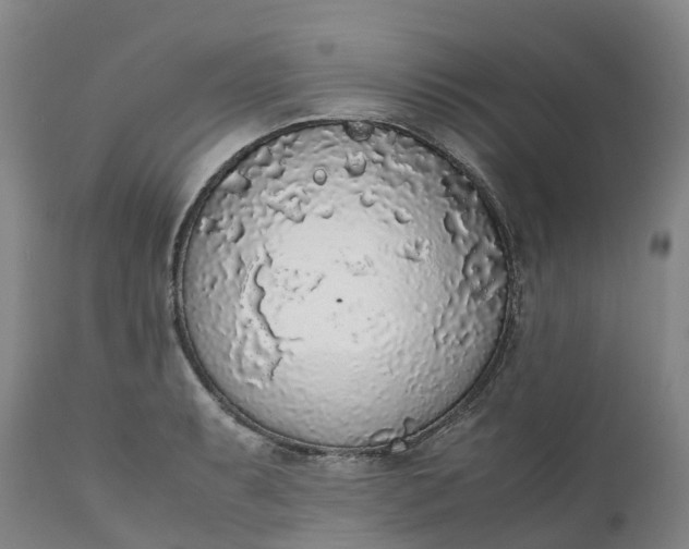 X0000111651087200907311311