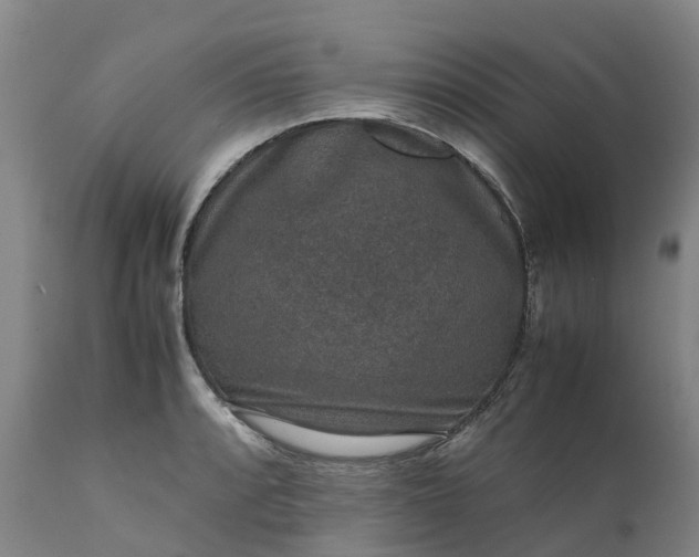 X0000111651088200907311311
