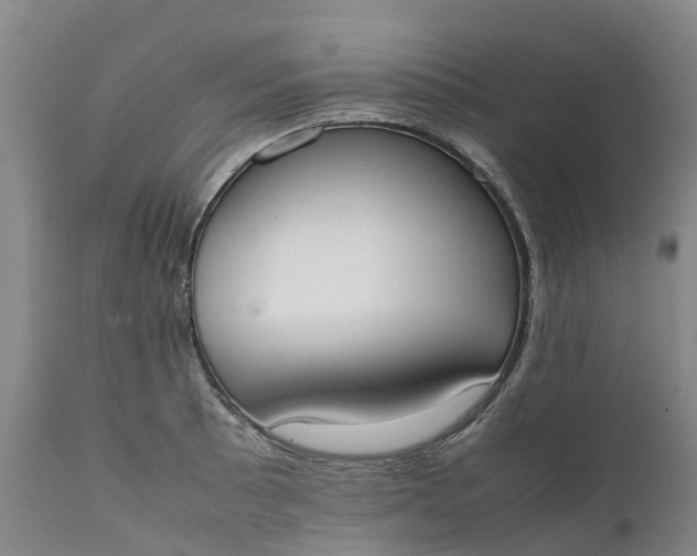 X0000111651089200907311311