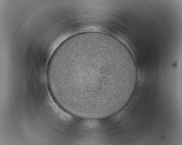 X0000111651090200907311311