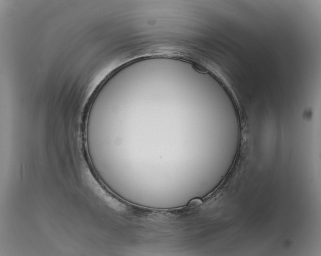 X0000111651091200907311311