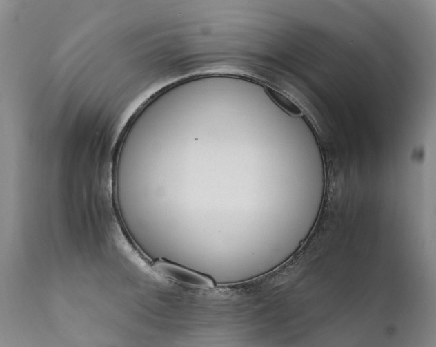 X0000111651092200907311311