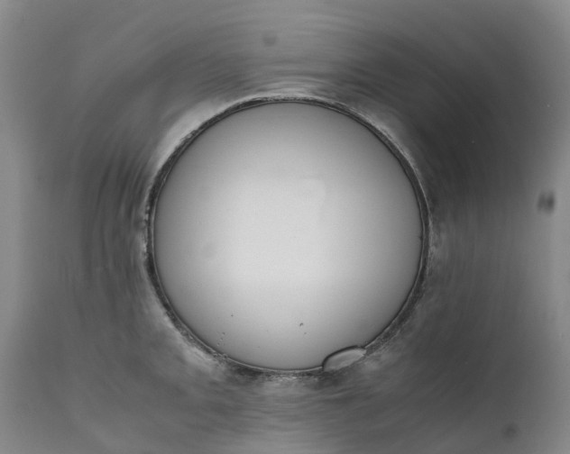 X0000111651093200907311311
