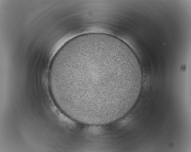 X0000111651094200907311311