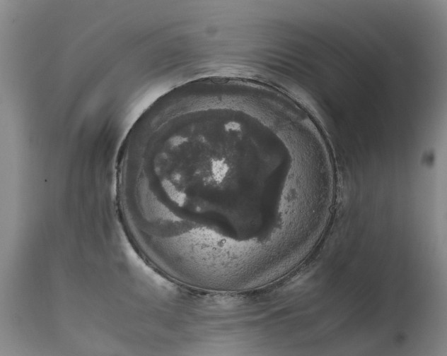 X0000111651095200907311311