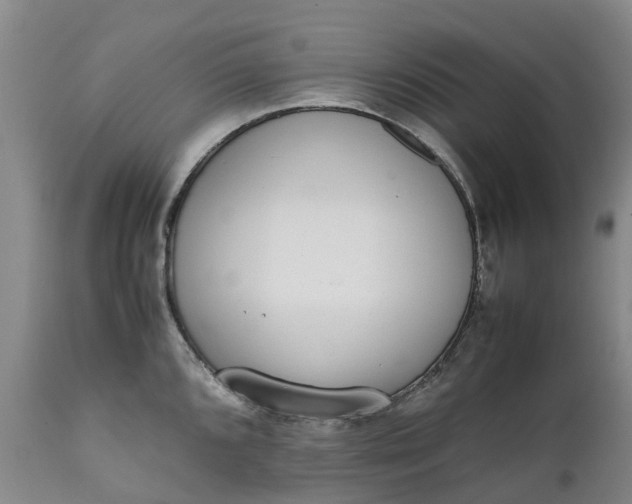 X0000111651096200907311311