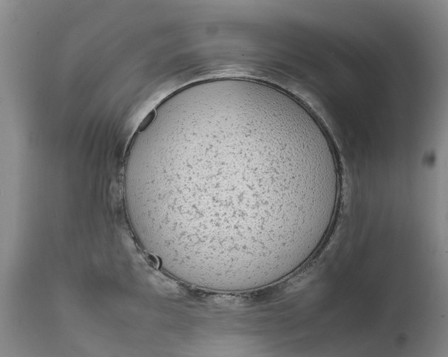 X0000111651097200907311311